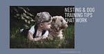 How to Combine Nesting and Dog Training: Preparing Your Pup for Your New Baby’s Arrival